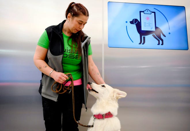 Το αεροδρόμιο του Ελσίνκι χρησιμοποιεί σκύλους για την ανίχνευση του κορονοϊού στους επιβάτες