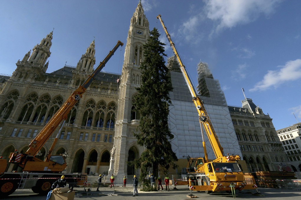 Βιέννη: Τα χριστουγεννιάτικα αιωνόβια δέντρα «της αισιοδοξίας»