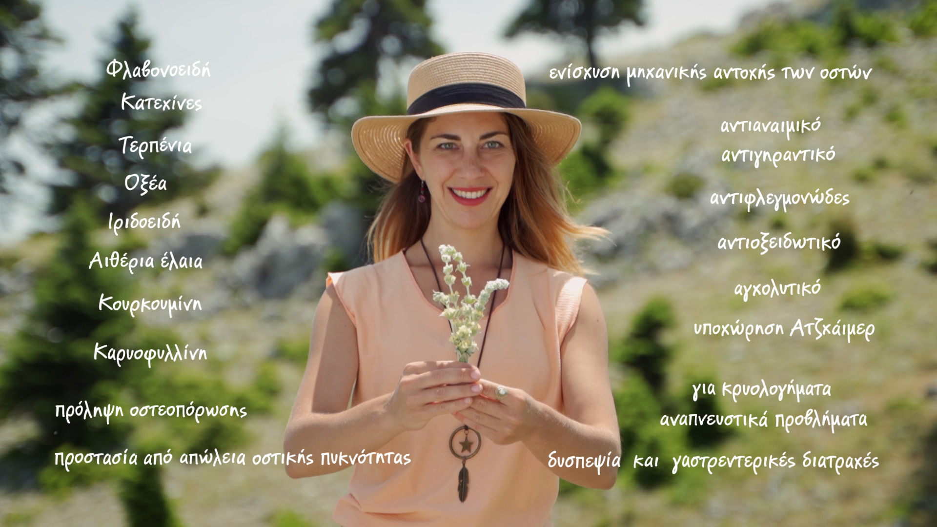 Βότανα Καρποί της Γης
