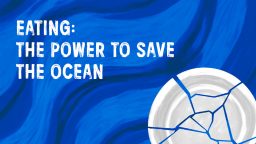 Από το Πιάτο στον Ωκεανό