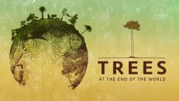 Δέντρα στο Πέρασμα του Χρόνου