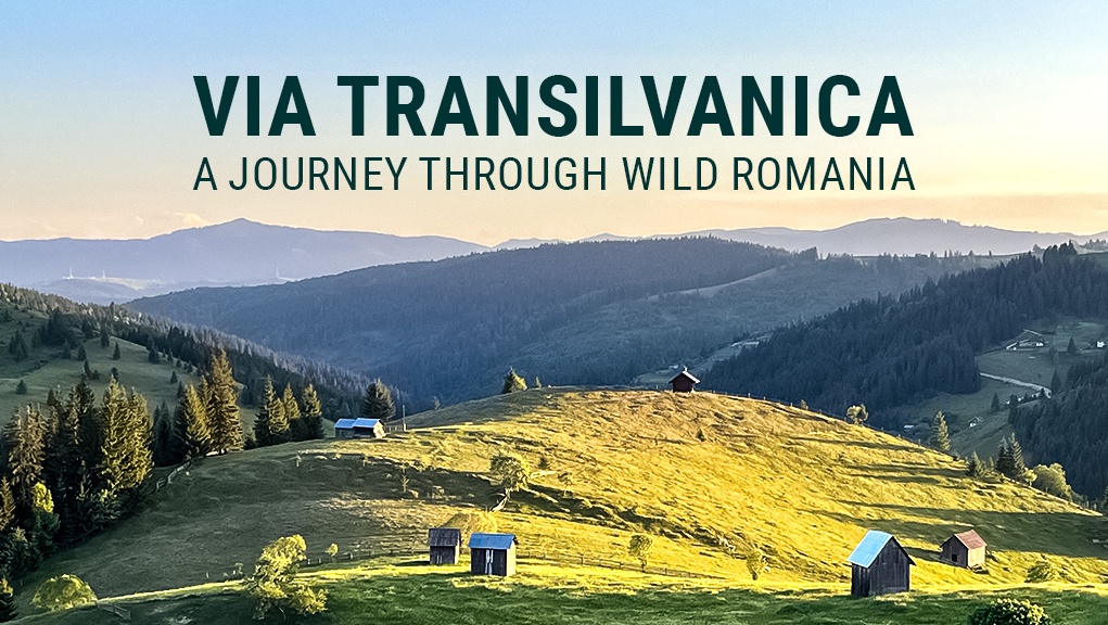Μονοπάτι Τρανσιλβάνικα
