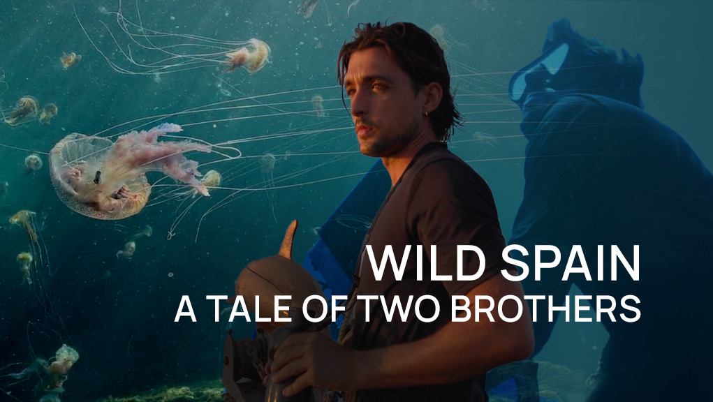 Άγρια Ισπανία, Μια Άλλη Ματιά