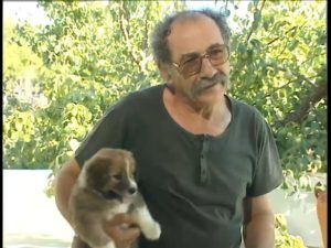 Παγκόσμια Ημέρα Αδέσποτων Ζώων – 4 Απριλίου