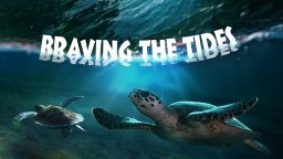 Μικρά Πλάσματα της Ακτής