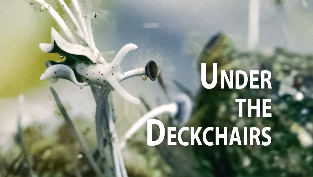 Στην Άκρη της Θάλασσας