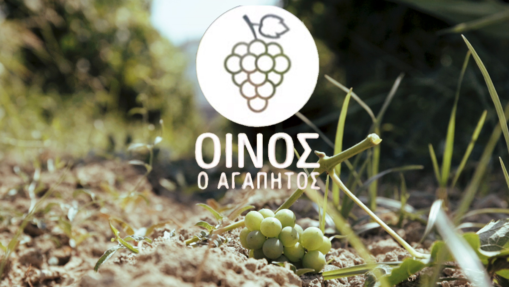 Οίνος ο Αγαπητός